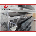Layer Poultry Quail Cage (Import Export Kenya)